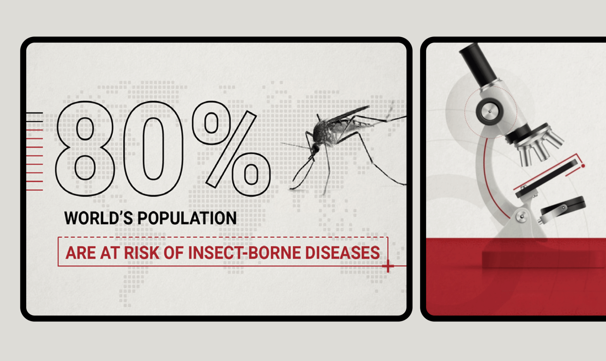80% of the world's population are at risk of insect borne diseases'